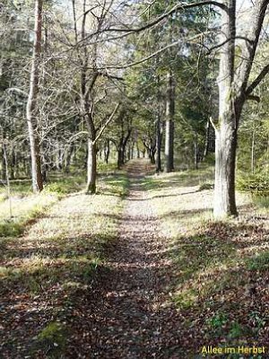 Foto des Albums: Stelzener Berg