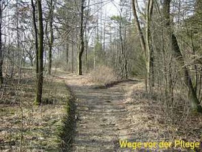 Foto des Albums: Stelzener Berg
