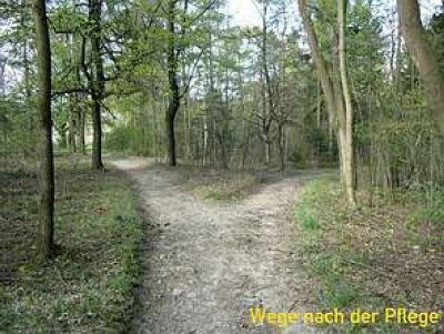 Foto des Albums: Stelzener Berg