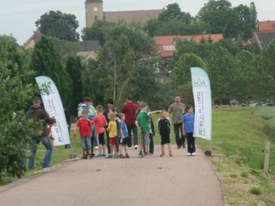 Foto des Albums: Seelandlauf