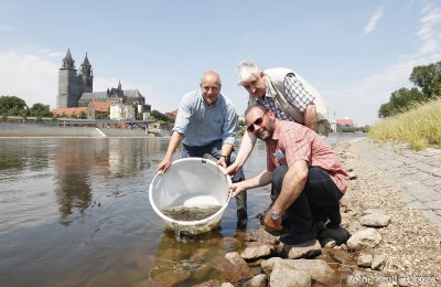 Bereit zum Aussetzen; Hr. Dr. Gessner, Spfr. Ritzmann (LAV e. V.), Spfr. Reidemeister (MAV e. V.) 