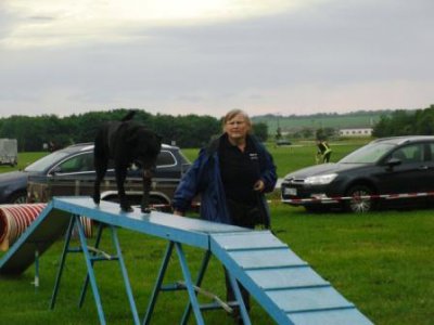 Foto des Albums: 3. Seelandfest der Stadt Seeland