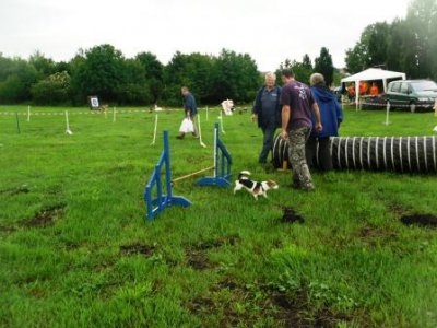 Foto des Albums: 3. Seelandfest der Stadt Seeland