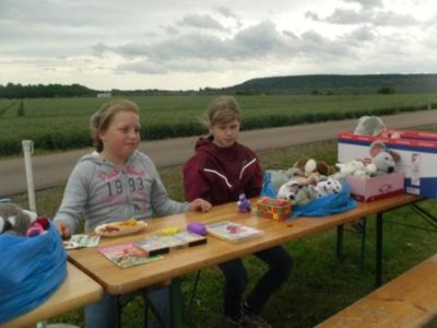 Foto des Albums: 3. Seelandfest der Stadt Seeland
