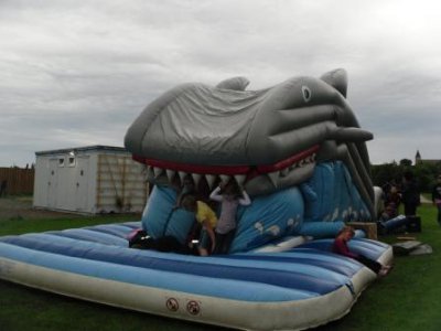 Foto des Albums: 3. Seelandfest der Stadt Seeland