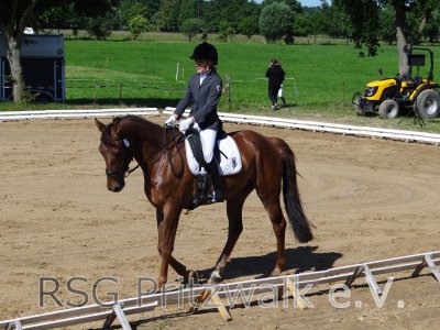 Foto des Albums: Reitturnier Uenze 2012