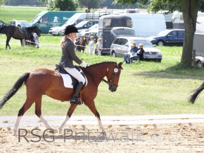 Foto des Albums: Reitturnier Uenze 2012
