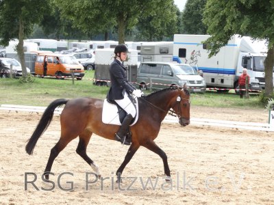 Foto des Albums: Reitturnier Uenze 2012