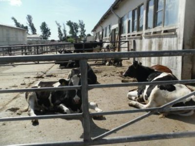 Foto des Albums: Agrargesellschaft