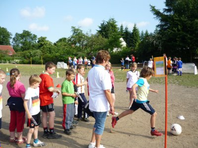 Foto des Albums: Mini Euro 2012
