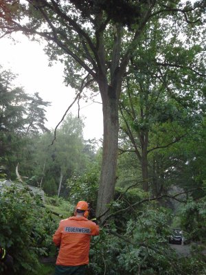 Foto des Albums: Unwetter
