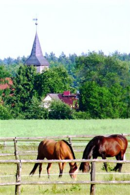 Vorschaubild: Pferde und Dorfkirche