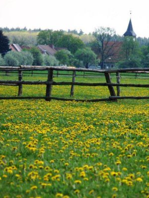 Vorschaubild: Koppel mit Blick auf Seeburg