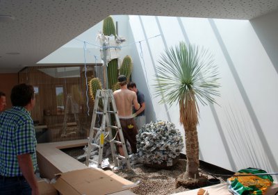 Foto des Albums: Bepflanzung Sukkulentenlandschaft Indoor (29.06.2012)