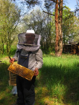 Foto des Albums: Honigwerkstatt mit Bienenlehrpfad