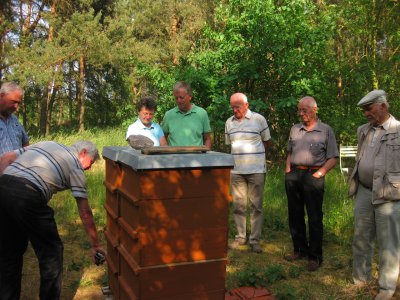 Foto des Albums: Honigwerkstatt mit Bienenlehrpfad