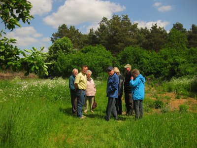 Foto des Albums: Honigwerkstatt mit Bienenlehrpfad