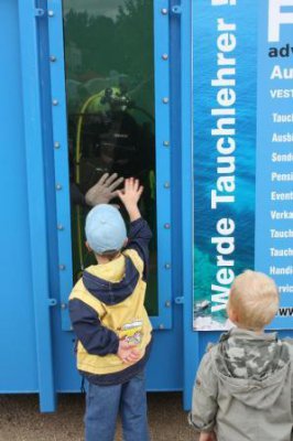 Foto des Albums: Hafenfest fehlte (nur) Seefreigabe