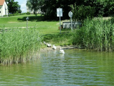 Foto des Albums: Trainingslager Frauen