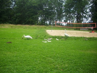 Foto des Albums: Trainingslager Frauen