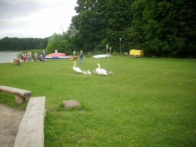 Foto des Albums: Trainingslager Frauen