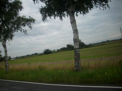 Foto des Albums: Trainingslager Frauen