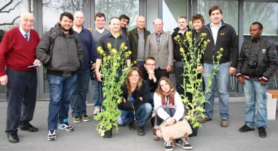 Italienische Studenten informieren sich &uuml;ber das Teltower R&uuml;bchen.  (Bild vergr&ouml;&szlig;ern)