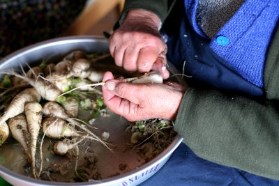 Putzen 2011  (Bild vergr&ouml;&szlig;ern)