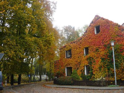 Farbenpracht  (Bild vergr&ouml;&szlig;ern)