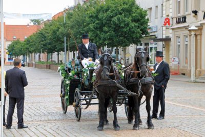 Foto des Albums: Fotowettbewerb "pritzwalkerleben"