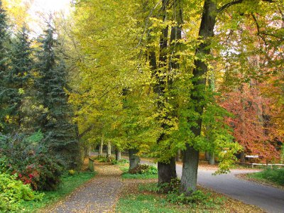 Foto des Albums: Fotowettbewerb "pritzwalkerleben"