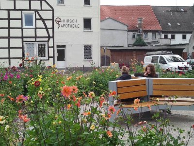 Foto des Albums: Fotowettbewerb "pritzwalkerleben"