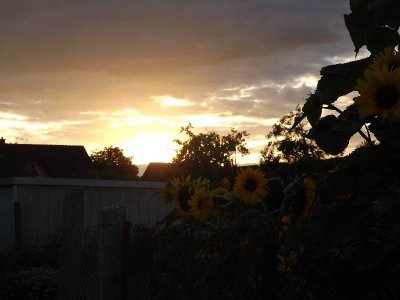 Foto des Albums: Fotowettbewerb "pritzwalkerleben"