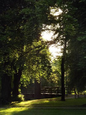 Foto des Albums: Fotowettbewerb "pritzwalkerleben"