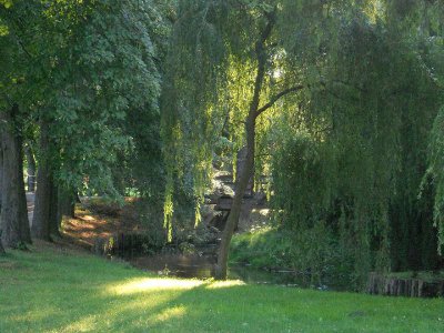 Foto des Albums: Fotowettbewerb "pritzwalkerleben"