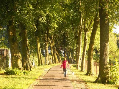 Foto des Albums: Fotowettbewerb "pritzwalkerleben"