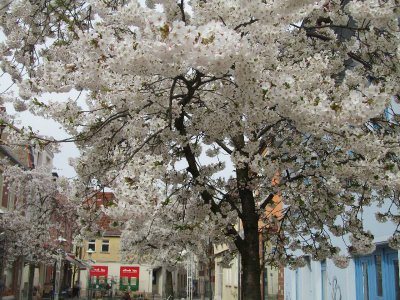 Foto des Albums: Fotowettbewerb "pritzwalkerleben"