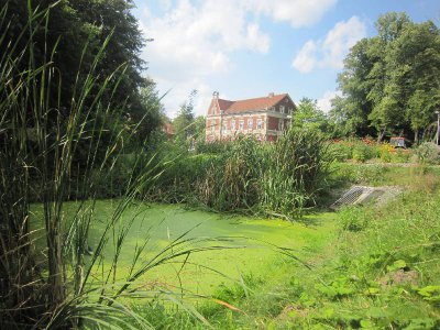 Foto des Albums: Fotowettbewerb "pritzwalkerleben"