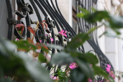 Foto des Albums: Fotowettbewerb "pritzwalkerleben"