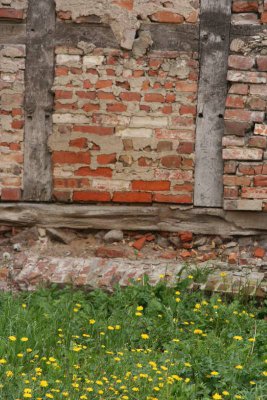 Foto des Albums: Fotowettbewerb "pritzwalkerleben"