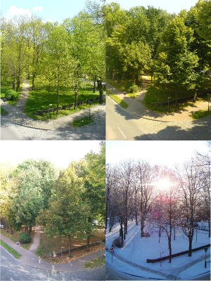 Foto des Albums: Fotowettbewerb "pritzwalkerleben"