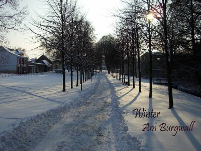 Foto des Albums: Fotowettbewerb "pritzwalkerleben"