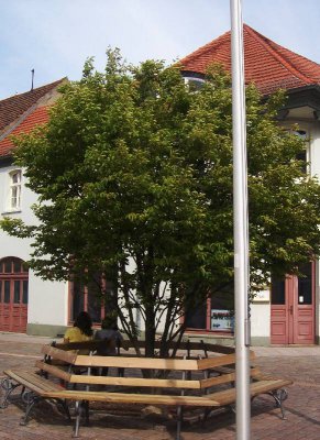 Foto des Albums: Fotowettbewerb "pritzwalkerleben"