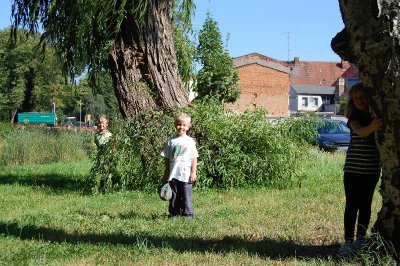 Foto des Albums: Fotowettbewerb "pritzwalkerleben"