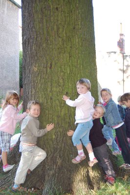 Foto des Albums: Fotowettbewerb "pritzwalkerleben"