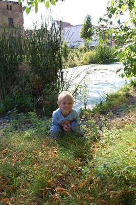 Foto des Albums: Fotowettbewerb "pritzwalkerleben"