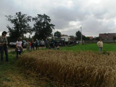 Foto des Albums: Dorffest im OT Friedrichsaue
