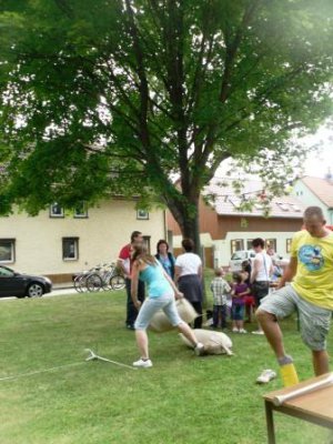 Foto des Albums: Dorffest im OT Friedrichsaue