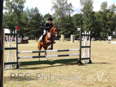 Foto des Albums: Reitturnier in  Berge 2012