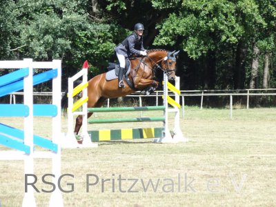 Foto des Albums: Reitturnier in  Berge 2012